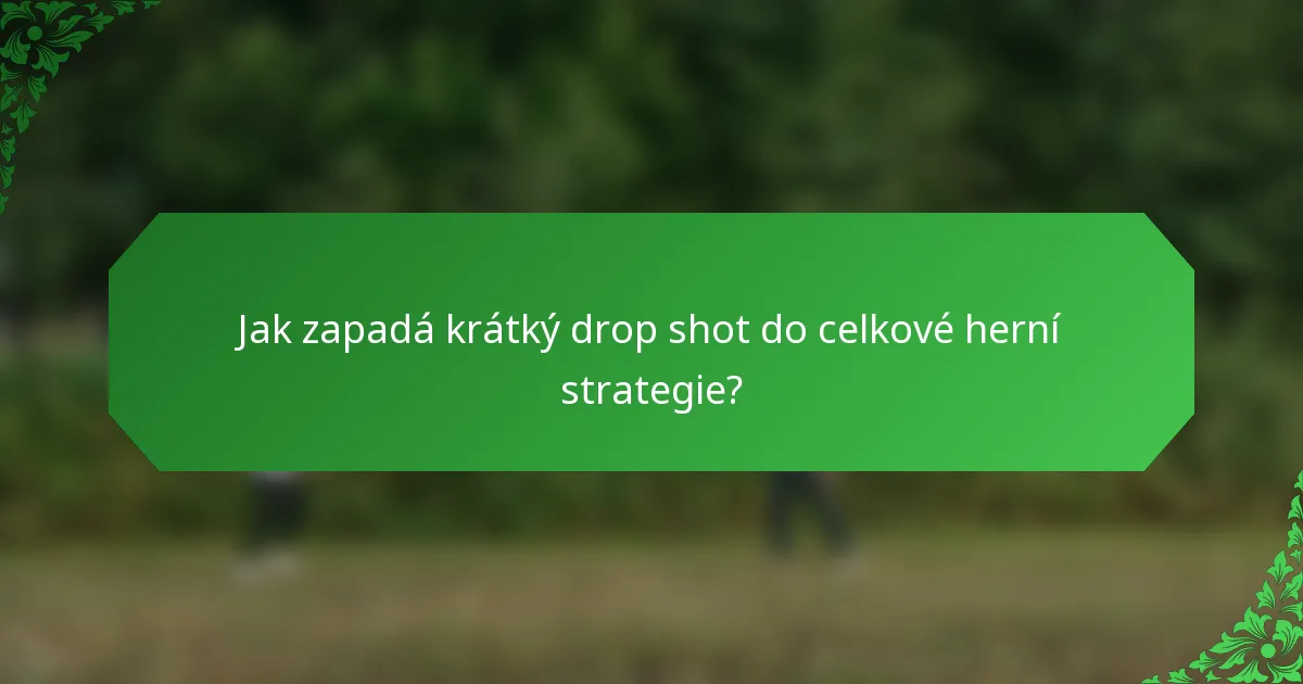 Jak zapadá krátký drop shot do celkové herní strategie?